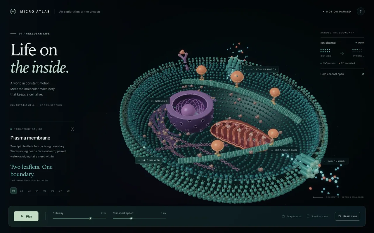 Living Cell：首轮构建截图 · VB Srivastav / OpenAI